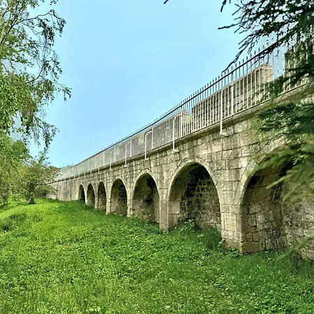 Cherry Blossom * Йорк